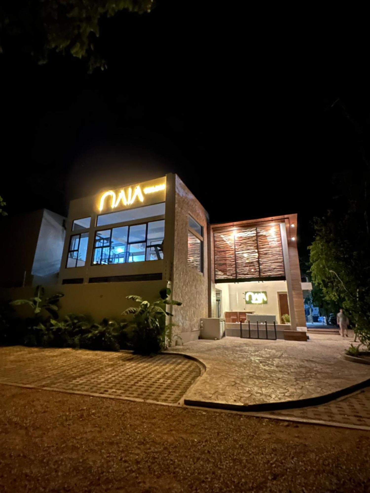 Apartment Naia